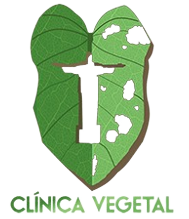Clínica Vegetal